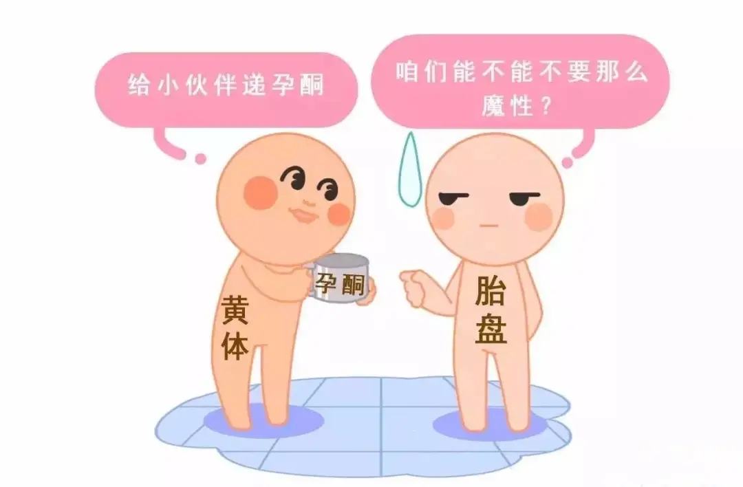 HCG和孕酮低一定會流產？備孕女性必須知道的孕早期“秘密”